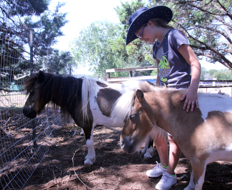 Wrangler Camp